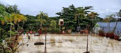 Celadon View (D17), Apartment #583101661